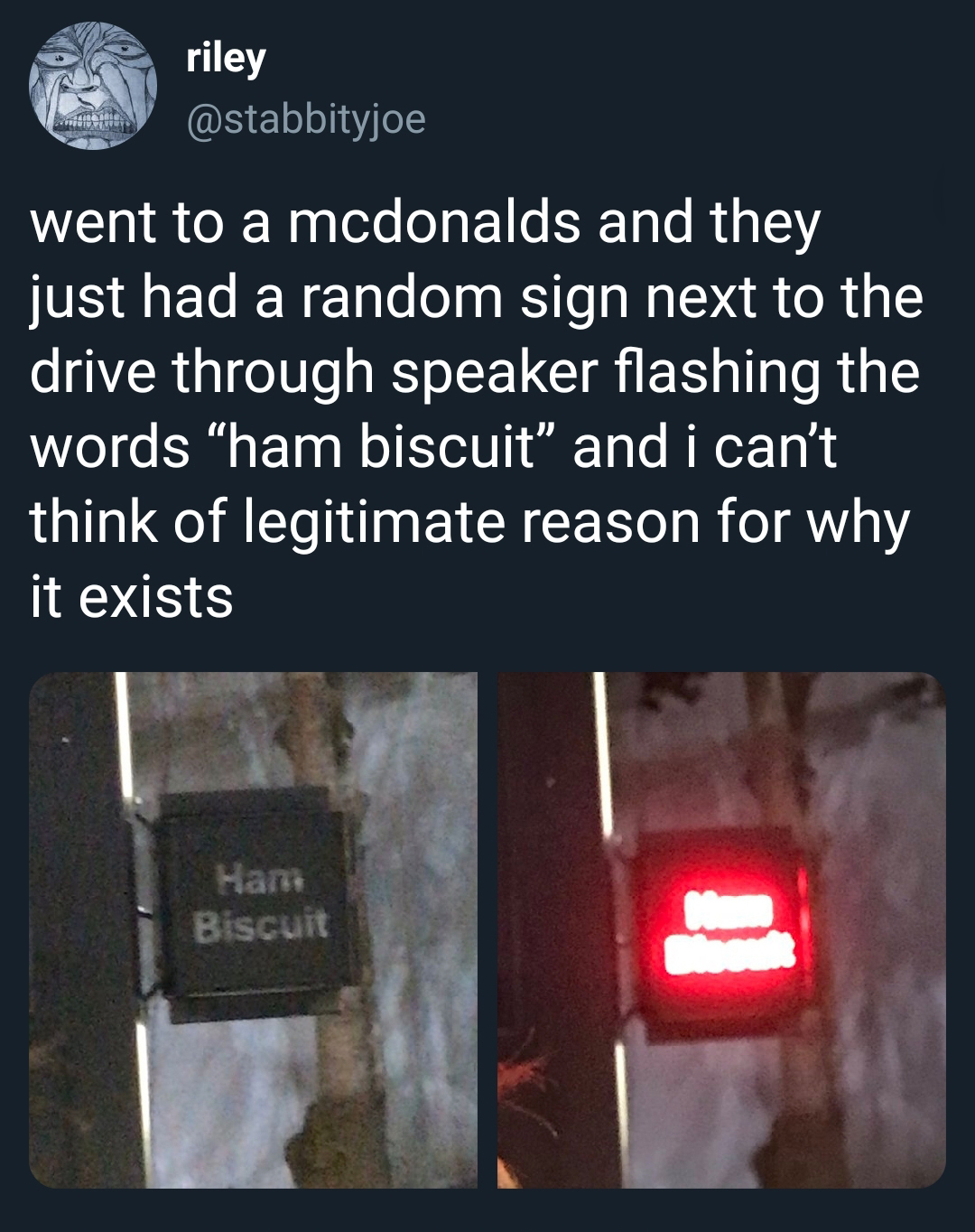 lyrics - riley went to a mcdonalds and they just had a random sign next to the drive through speaker flashing the words "ham biscuit" and i can't think of legitimate reason for why it exists Ham Biscuit