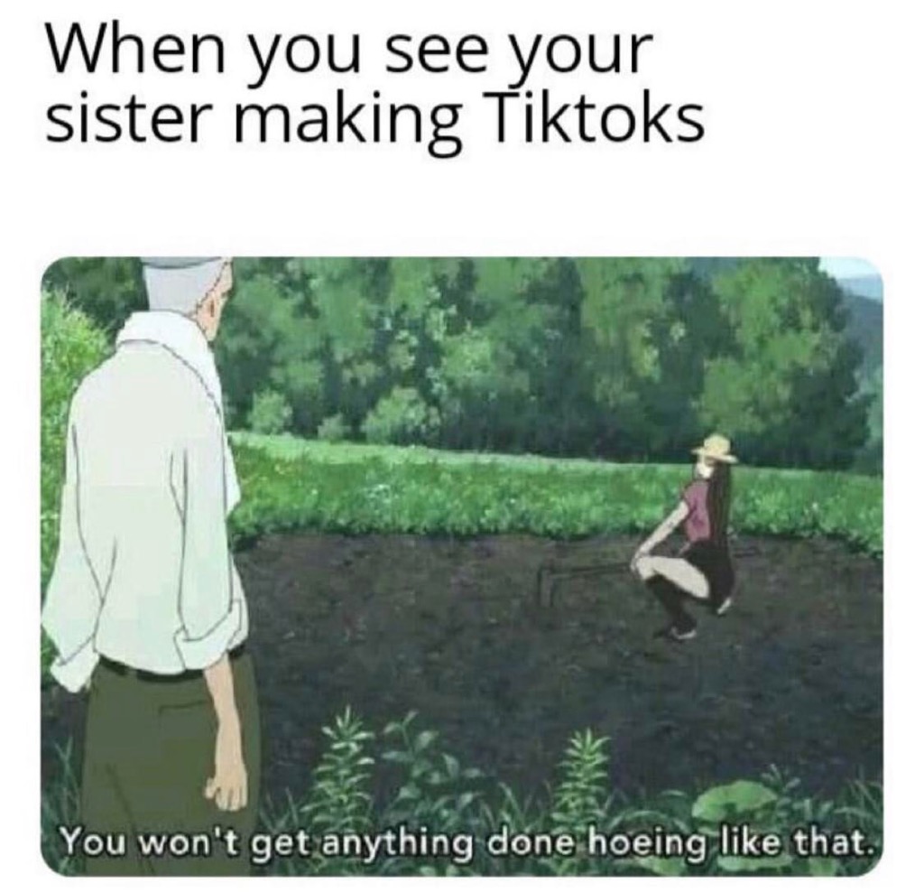 you won t get anything done hoeing meme - When you see your sister making Tiktoks You won't get anything done hoeing that.