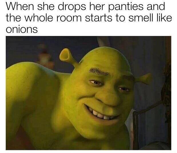 sexual shrek memes - When she drops her panties and the whole room starts to smell onions