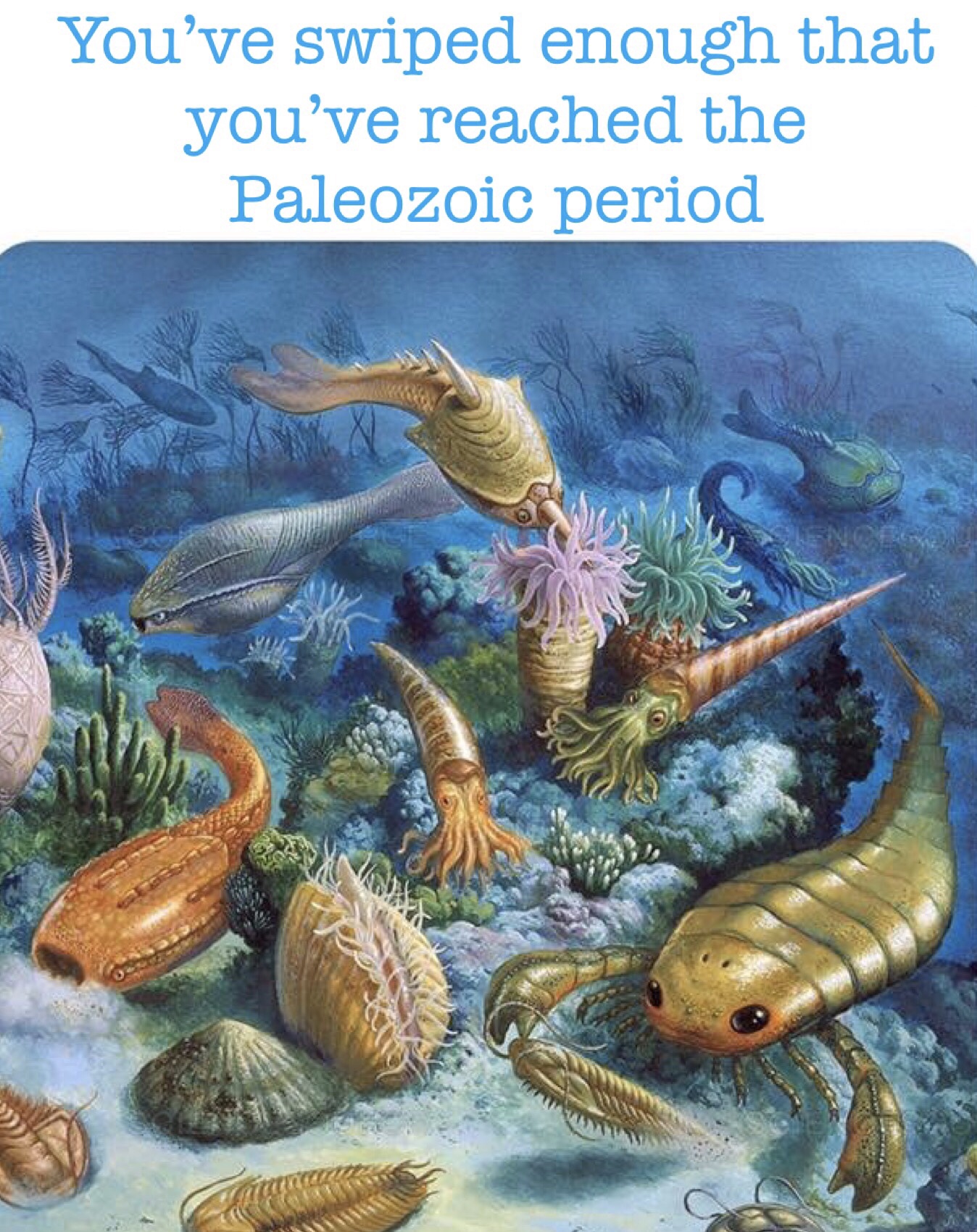 paleozoic era - You've swiped enough that you've reached the Paleozoic period