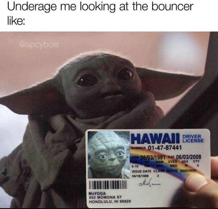 baby yoda meme - Underage me looking at the bouncer Hawaii Drivere Driver License Number 014787441 Dob 06031981 Exp 06032008 Wt Hair Eyes Sex Cty 510 150 Bro Brom Issue Date Class Restr Endorse 06181998 3 McYODA 892 Momona St Honolulu, Hi 96820