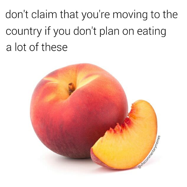 fruit peach - don't claim that you're moving to the country if you don't plan on eating a lot of these Harymemes