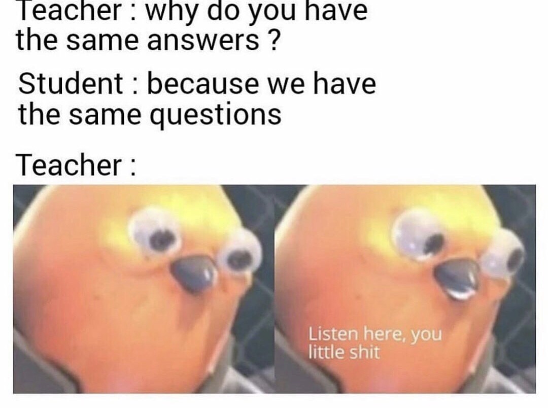dank listen here you little shit memes - Teacher why do you have the same answers ? Student because we have the same questions Teacher Listen here, you little shit