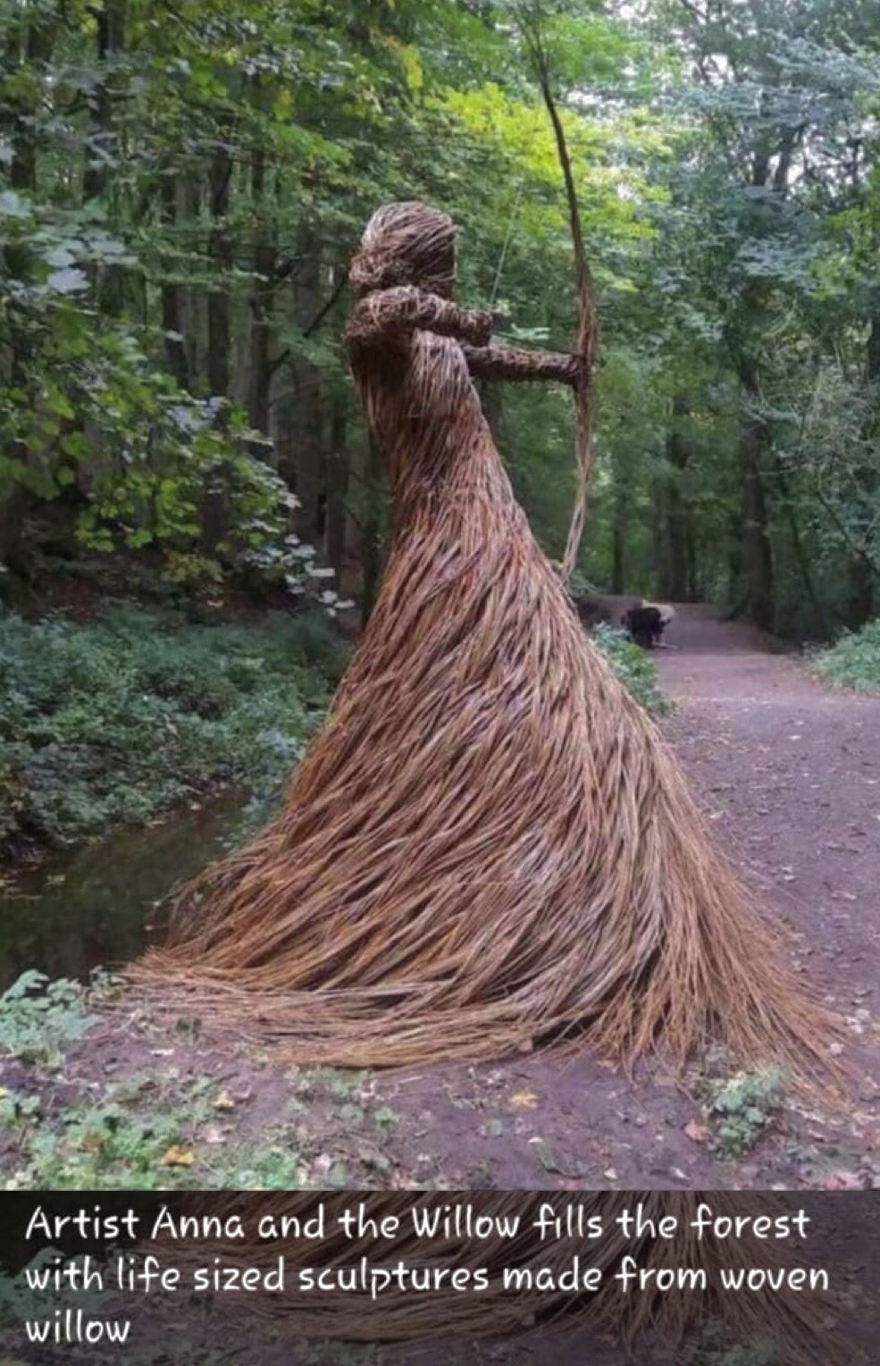 sentinel of the forest - Artist Anna and the Willow fills the forest with life sized sculptures made from woven willow