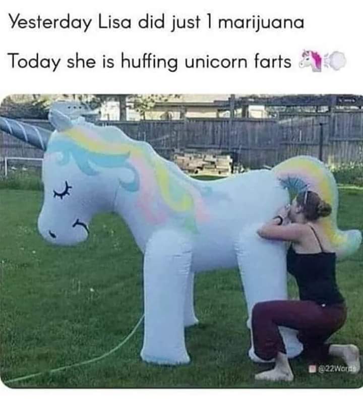 unicorn blow up doll - Yesterday Lisa did just 1 marijuana Today she is huffing unicorn fartsy