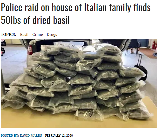 Police raid on house of Italian family finds 50lbs of dried basil Topics Basil Crime Drugs Posted By David Marrs