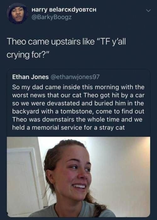 Humour - Harry BelafckdYOBTCH Theo came upstairs "Tf y'all crying for?" Ethan Jones So my dad came inside this morning with the worst news that our cat Theo got hit by a car so we were devastated and buried him in the backyard with a tombstone, come to fi