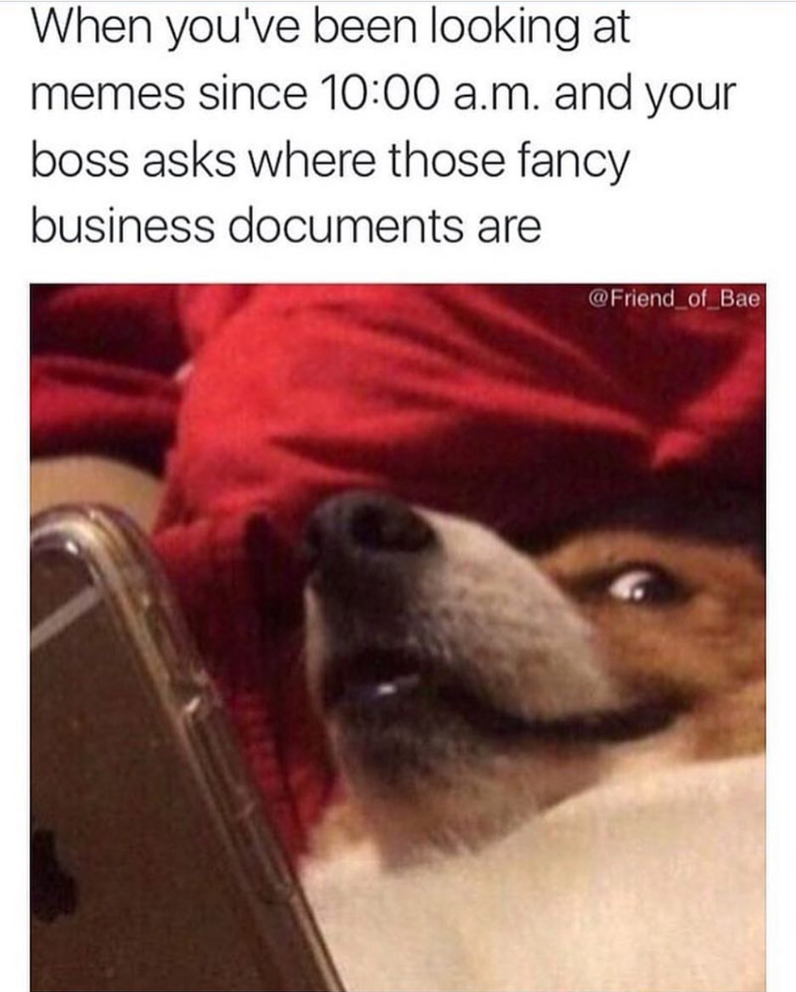 you send someone a meme across - When you've been looking at memes since a.m. and your boss asks where those fancy business documents are of Bae