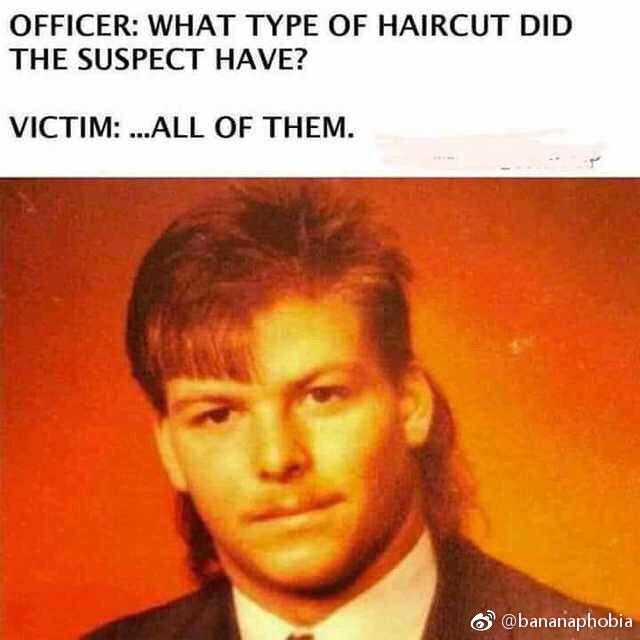 haircut did the suspect have all - Officer What Type Of Haircut Did The Suspect Have? Victim ...All Of Them.