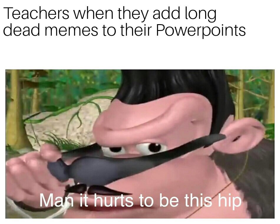 dk memes - Teachers when they add long dead memes to their Powerpoints Man it hurts to be this hip