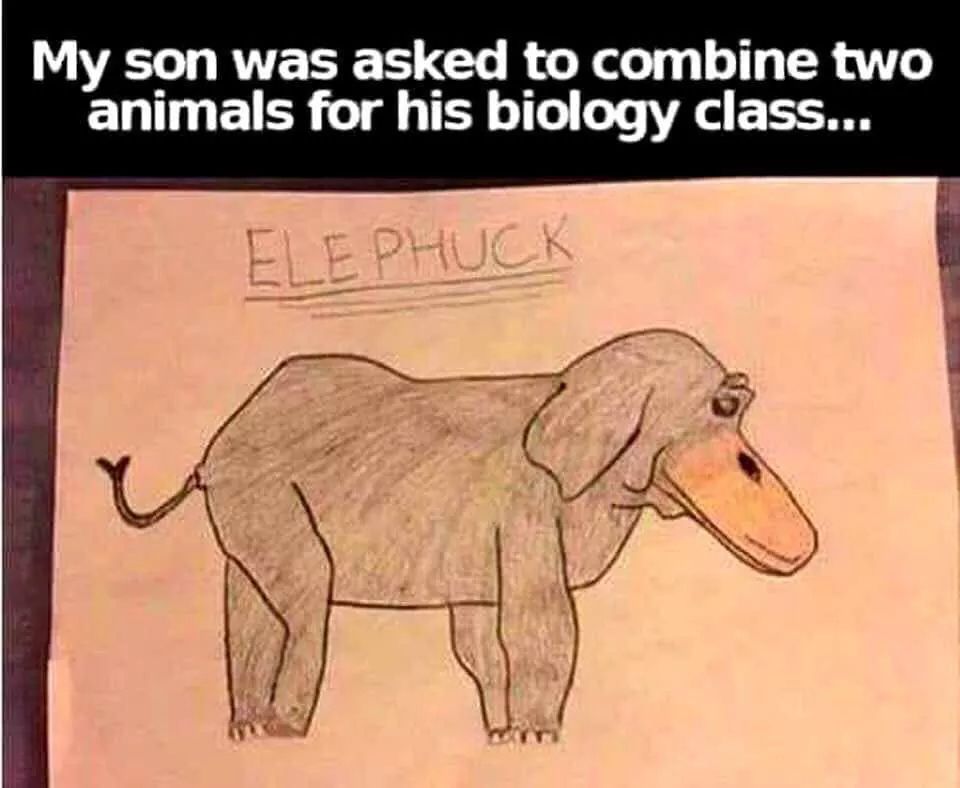 cartoon - My son was asked to combine two animals for his biology class... Ele Phuck