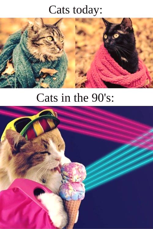 photo caption - Cats today Cats in the 90's