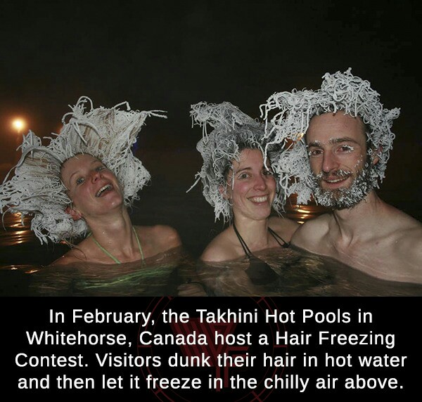 hair freezing competition - In February, the Takhini Hot Pools in Whitehorse, Canada host a Hair Freezing Contest. Visitors dunk their hair in hot water and then let it freeze in the chilly air above.