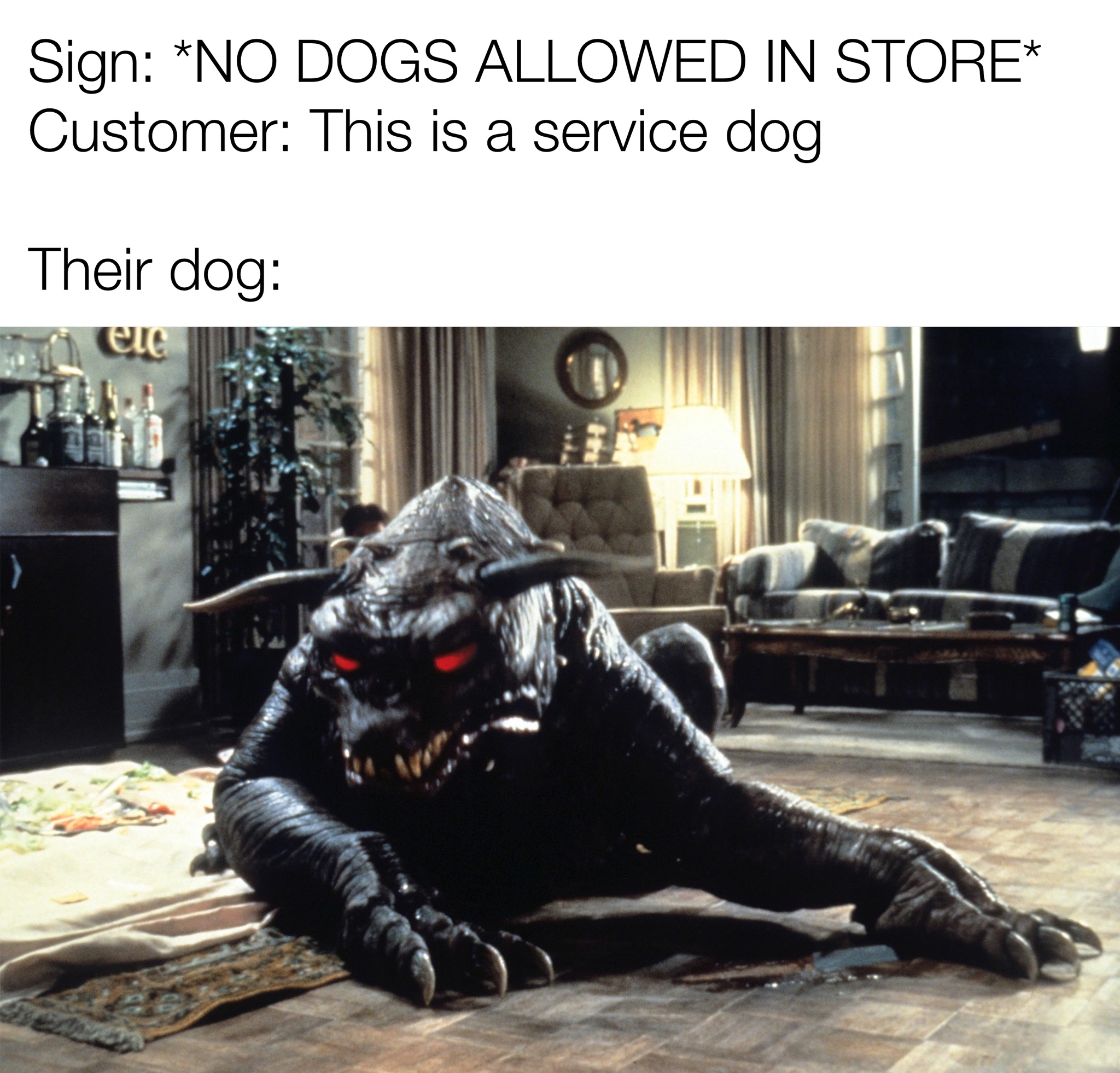 Sign No Dogs Allowed In Store Customer This is a service dog Their dog eus