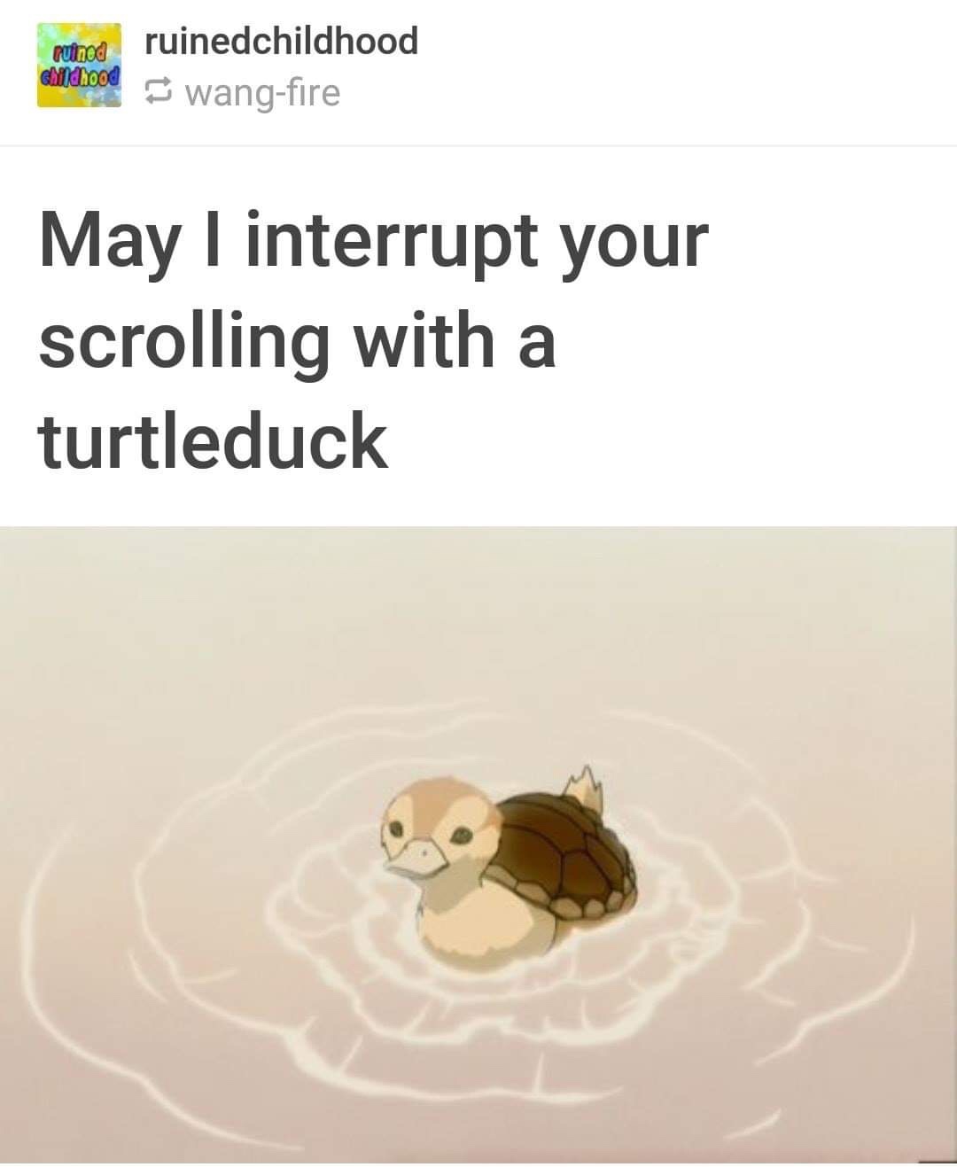 turtle duck - punod ruinedchildhood omdrood wangfire May I interrupt your scrolling with a turtleduck