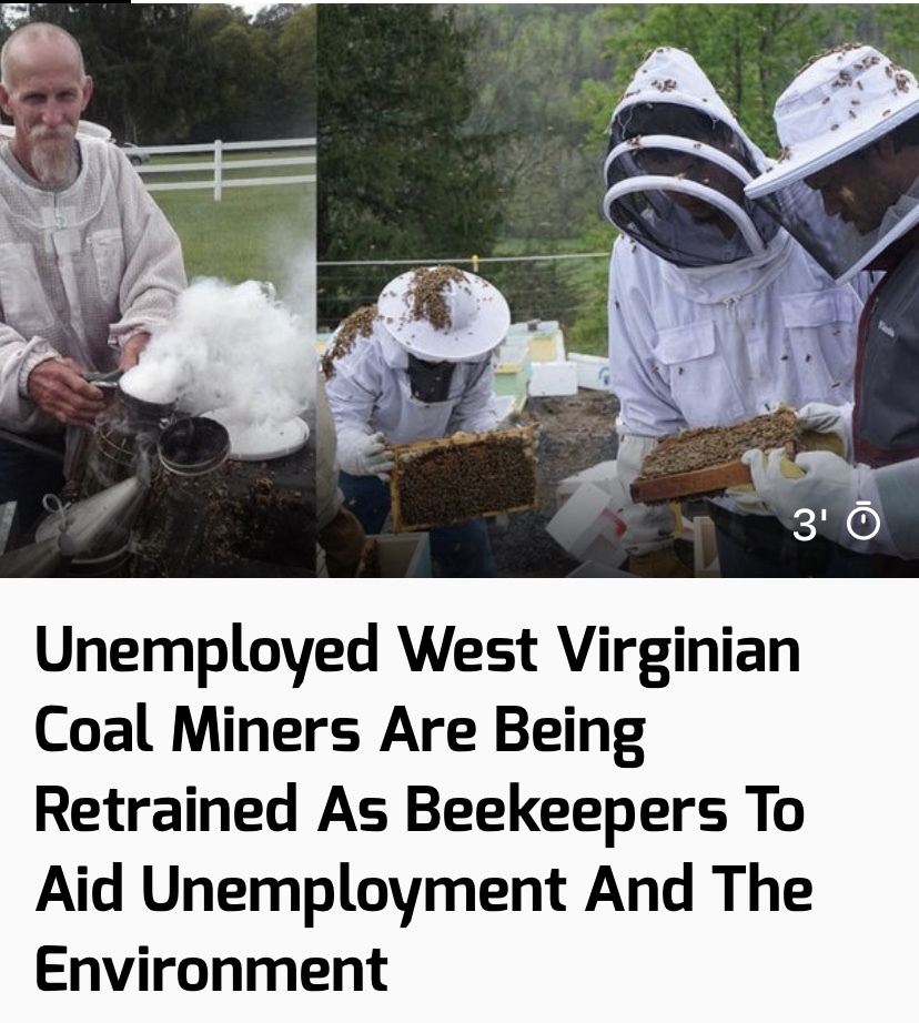 photo caption - 3' Unemployed West Virginian Coal Miners Are Being Retrained As Beekeepers To Aid Unemployment And The Environment