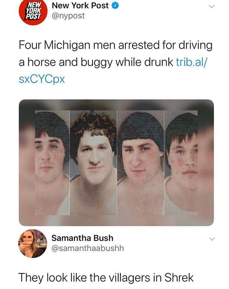 4 amish arrested michigan - New York New York Post Four Michigan men arrested for driving a horse and buggy while drunk trib.al SxCYCpx Samantha Bush They look the villagers in Shrek