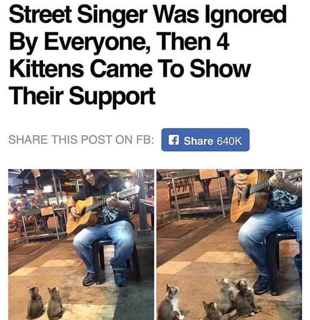 faith in humanity restored - Street Singer Was Ignored By Everyone, Then 4 Kittens Came To Show Their Support This Post On Fb f