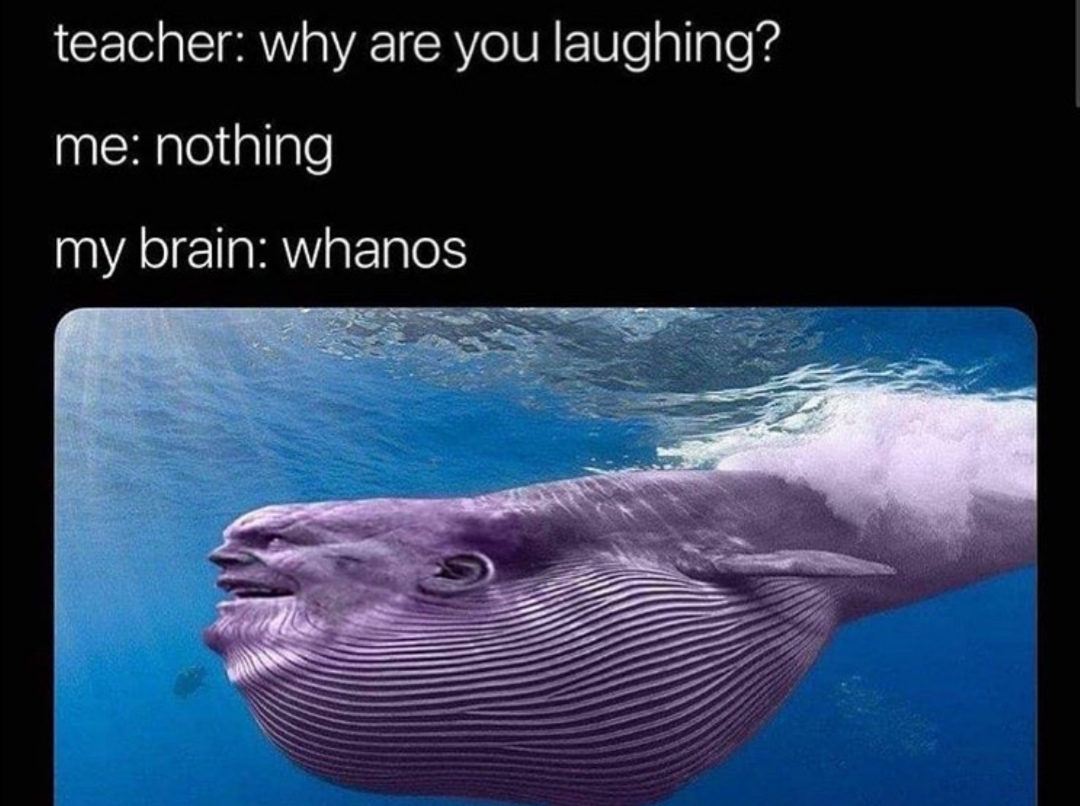 thanos whale meme - teacher why are you laughing? me nothing my brain whanos