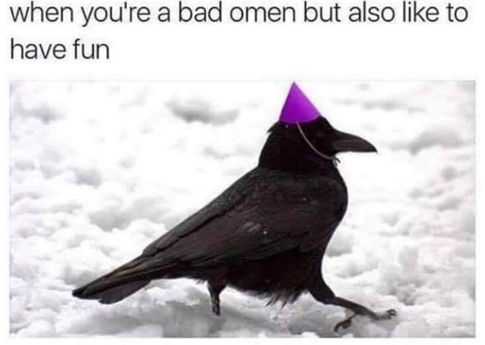 party boy crow - when you're a bad omen but also to have fun