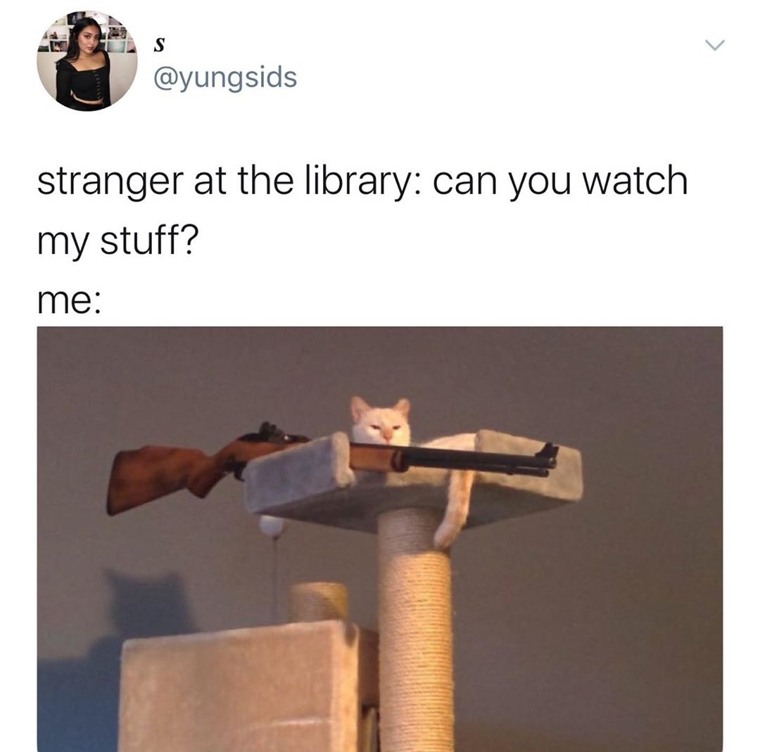 cat with rifle - stranger at the library can you watch my stuff? me