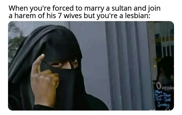 pakistani logic meme - When you're forced to marry a sultan and join a harem of his 7 wives but you're a lesbian