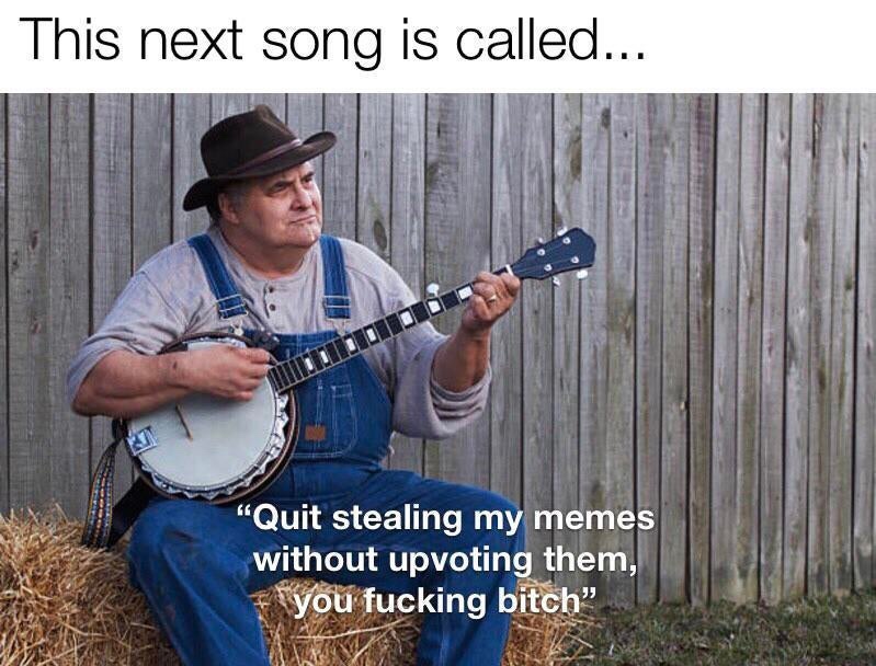 quit stealing my memes hoe - This next song is called... "Quit stealing my memes without upvoting them, f you fucking bitch.