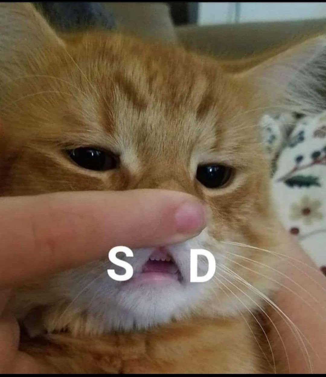 S D