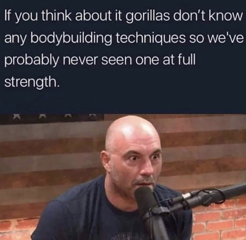 gorillas don t know any bodybuilding techniques - If you think about it gorillas don't know any bodybuilding techniques so we've probably never seen one at full strength.
