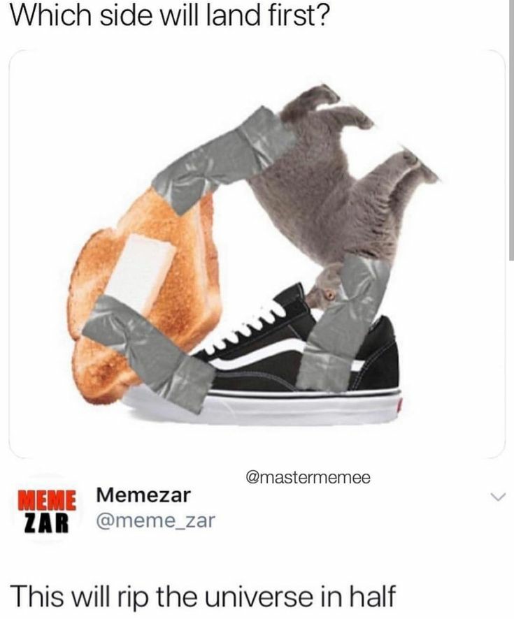 cat vans toast meme - Which side will land first? Memezar zar This will rip the universe in half