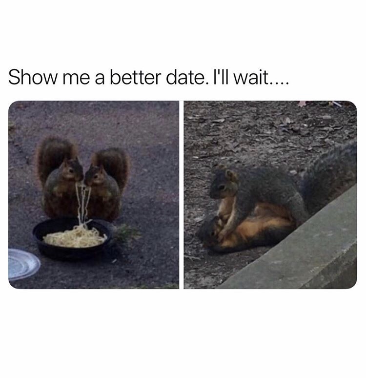 squirrel date meme - Show me a better date. I'll wait....