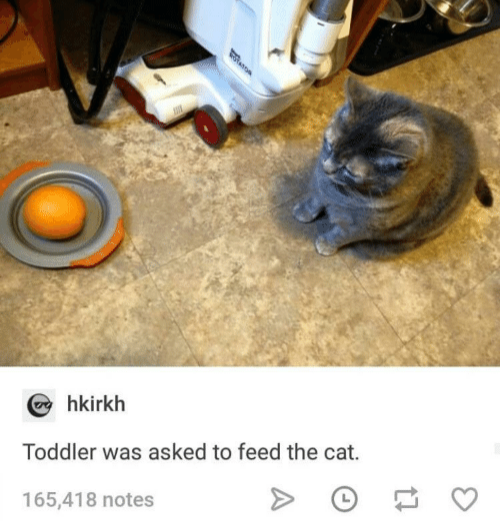 kids who take instructions too literally - hkirkh Toddler was asked to feed the cat. 165,418 notes >