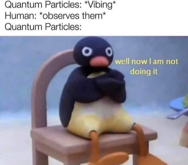 penguin meme - Quantum Particles Vibing Human observes them Quantum Particles well now I am not doing it