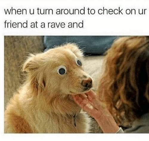 poor dog was born blind - when u turn around to check on ur friend at a rave and