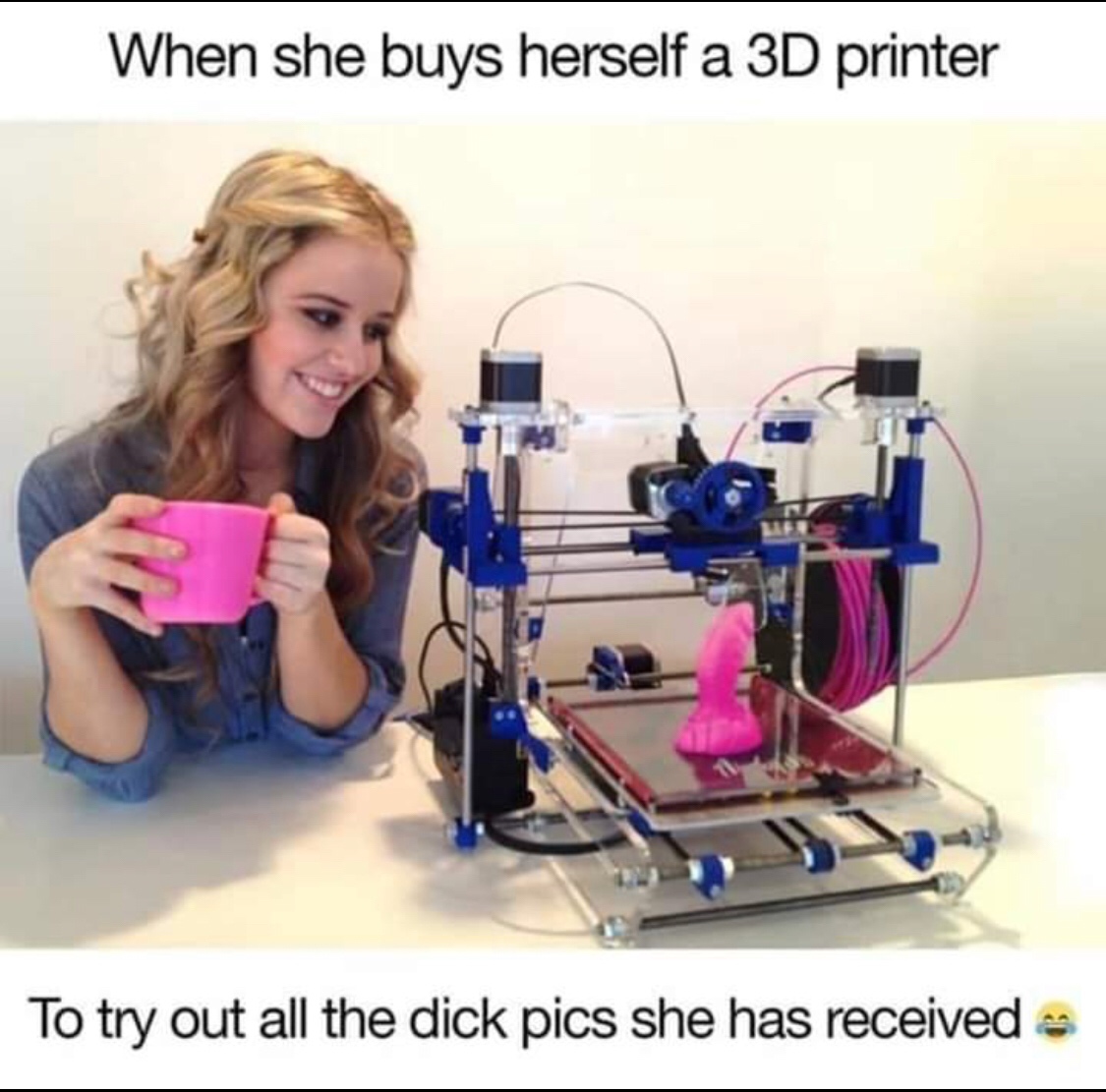 3d printer dick pics meme - When she buys herself a 3D printer To try out all the dick pics she has received