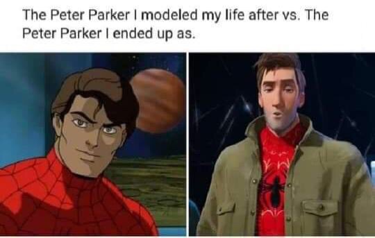 cartoon - The Peter Parker I modeled my life after vs. The Peter Parker I ended up as.