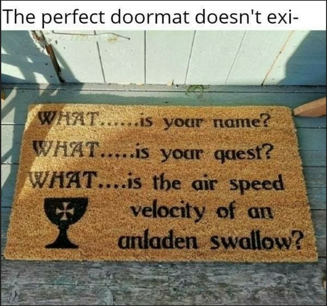 doormat unladen swallow - The perfect doormat doesn't exi What......is your name? What.....is your quest? What....is the air speed velocity of an anladen swallow?