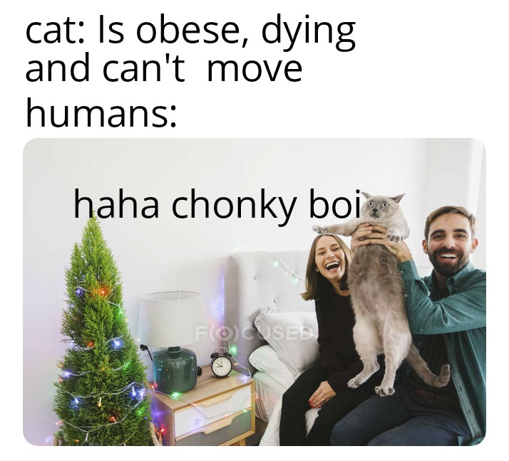 Internet meme - cat Is obese, dying and can't move humans haha chonky boie Fossen