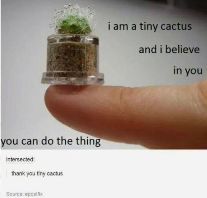 tiny cactus i believe in you - i am a tiny cactus and i believe in you you can do the thing intersected thank you tiny cactus Source epostfix