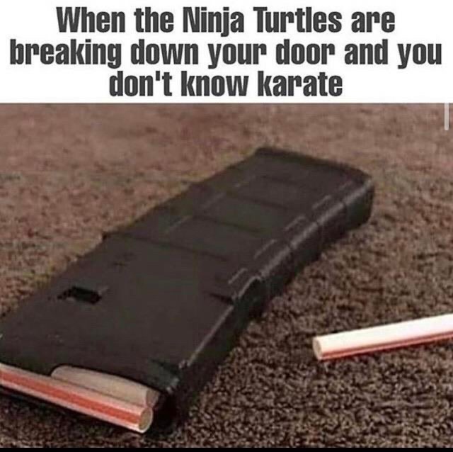turtle starts talking shit - When the Ninja Turtles are breaking down your door and you don't know karate