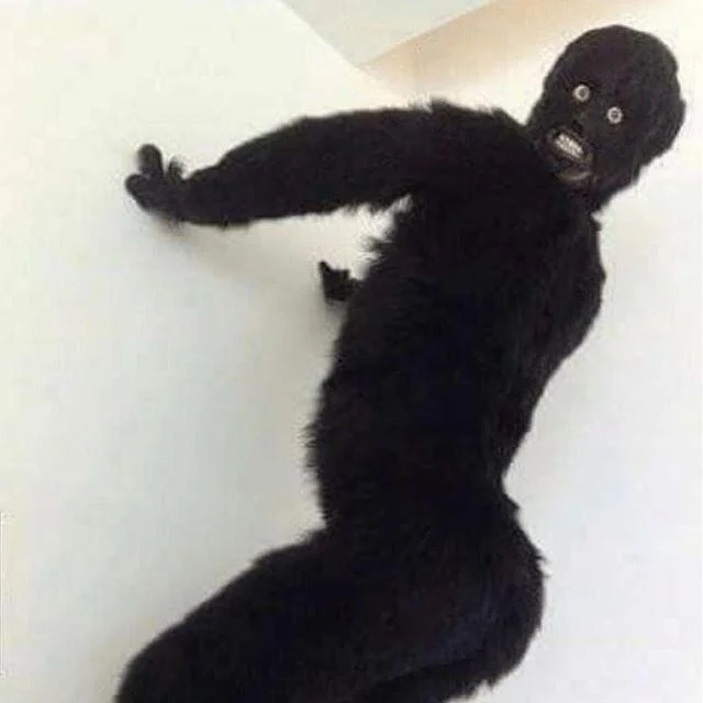 cursed image gorilla