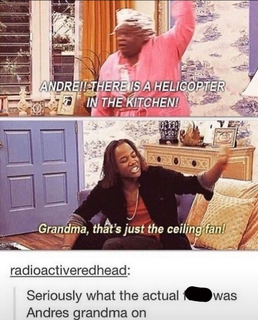 andre's grandma - AndreilThere Is A Helicopter In The Kitchen! Grandma, tht's just the ceiling fan! radioactiveredhead Seriously what the actual Andres grandma on was