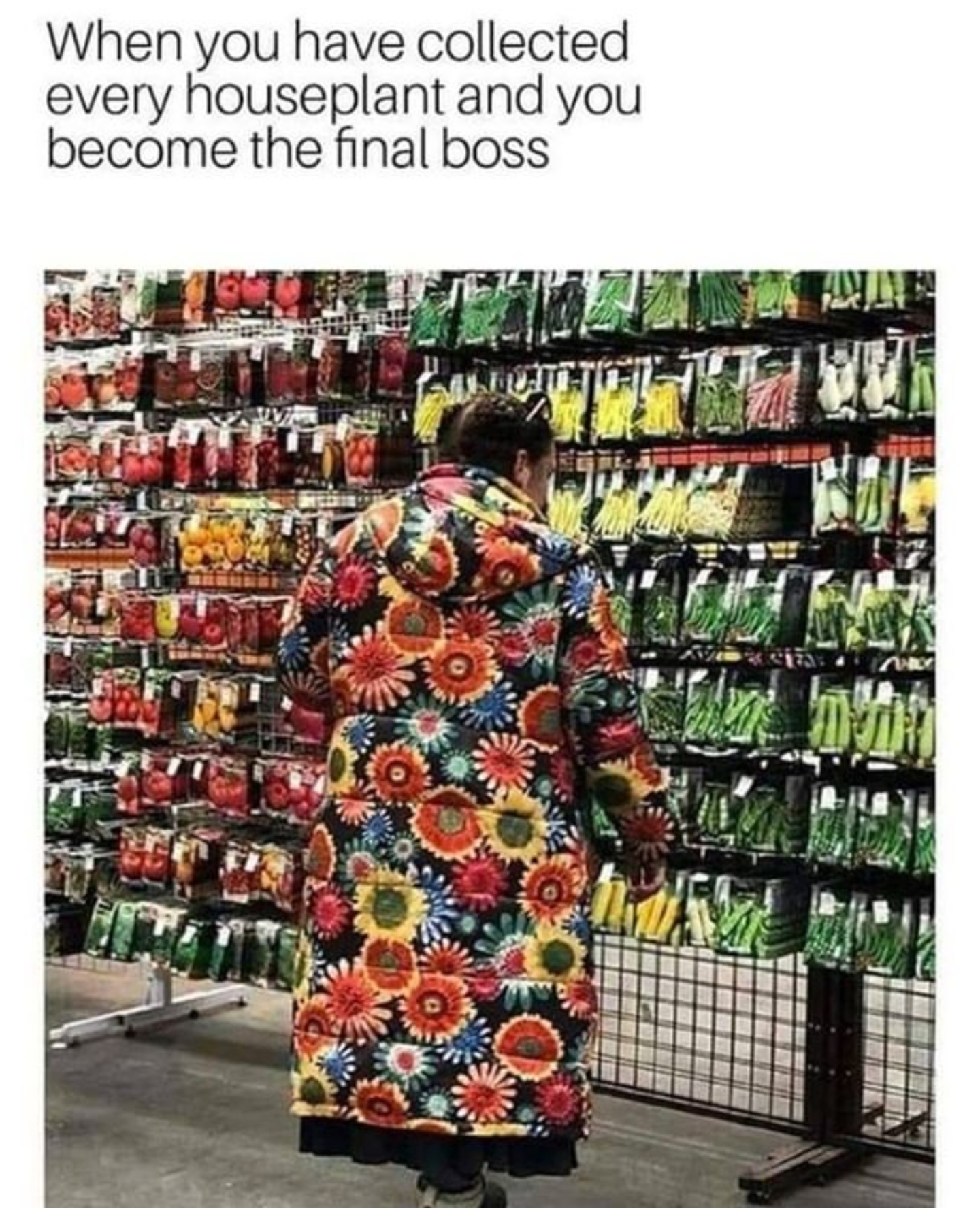 Seed - When you have collected every houseplant and you become the final boss Et Latin