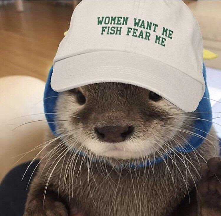 women want me fish fear me otter - Women Want Fish Fear Me Vant Me