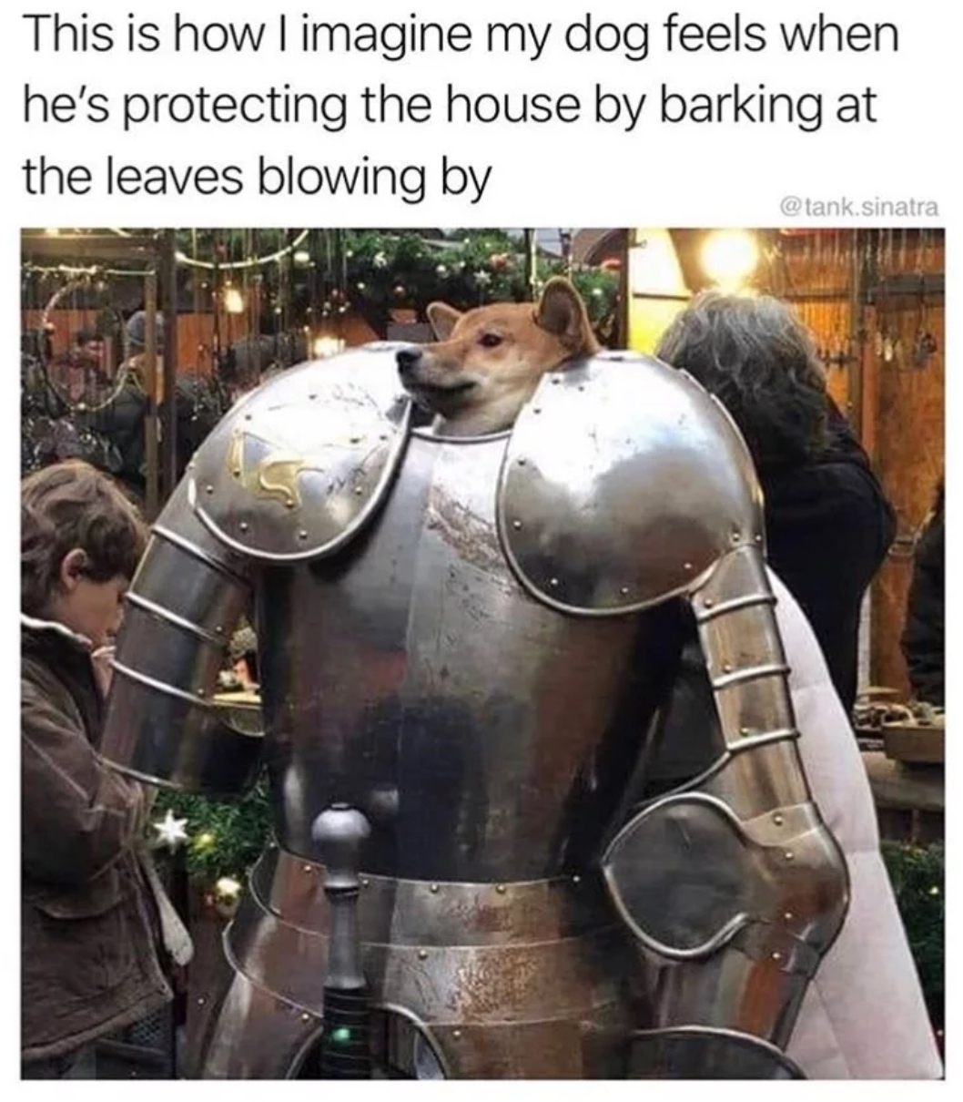 iron dogo - This is how I imagine my dog feels when he's protecting the house by barking at the leaves blowing by tank sinatra