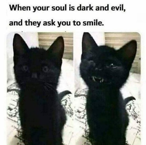 black cat meme - When your soul is dark and evil, and they ask you to smile.