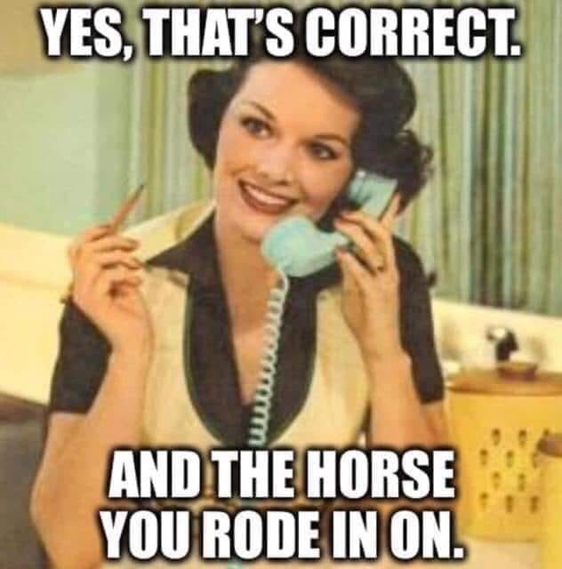nurse and social worker joke - Yes, That'S Correct. w And The Horse You Rode In On.