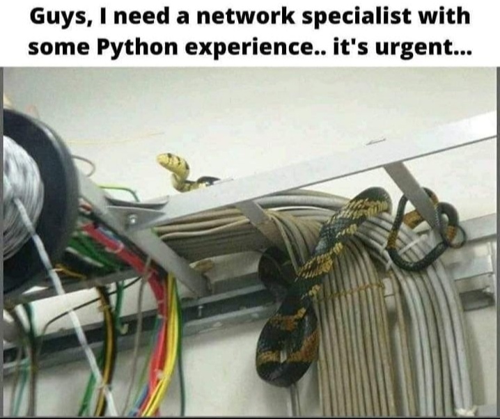 Software Developer - Guys, I need a network specialist with some Python experience.. it's urgent...