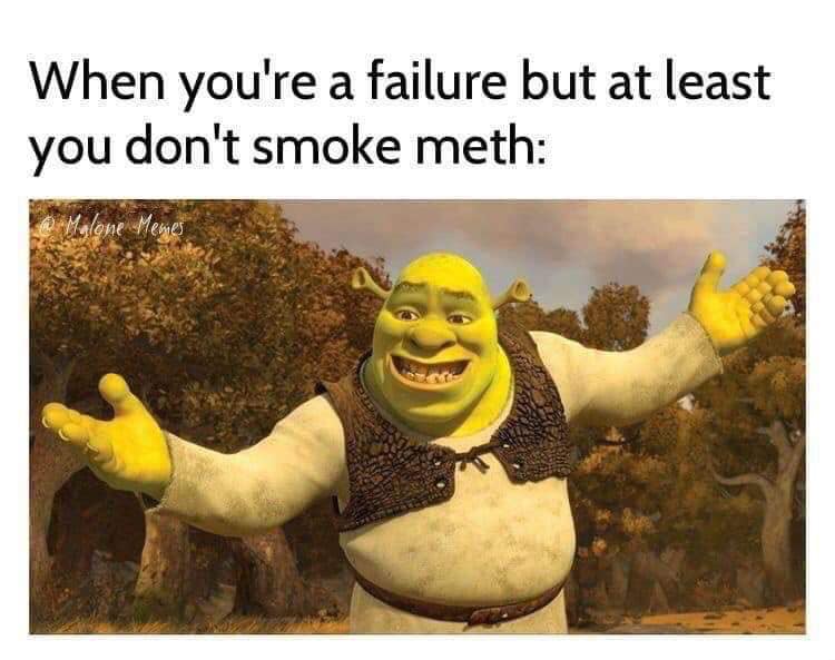 you finish a school presentation - When you're a failure but at least you don't smoke meth Malone Memes