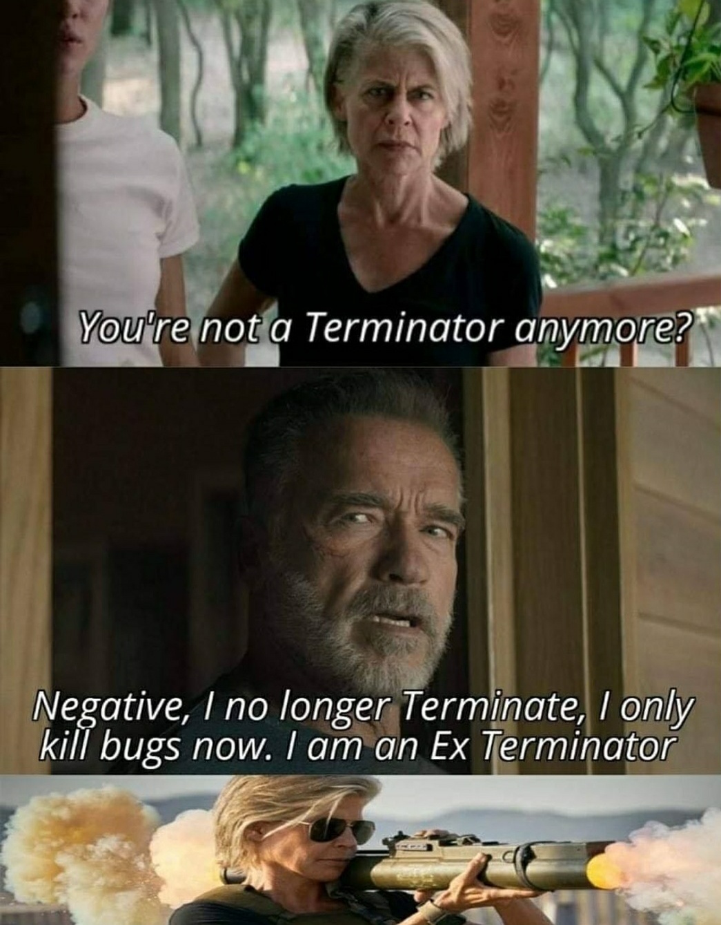 sarah connor terminator dark fate - You're not a Terminator anymore? Negative, I no longer Terminate, I only kill bugs now. I am an Ex Terminator